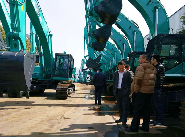 快来看，，，，，快来看，，，，，这里有一群绿精灵