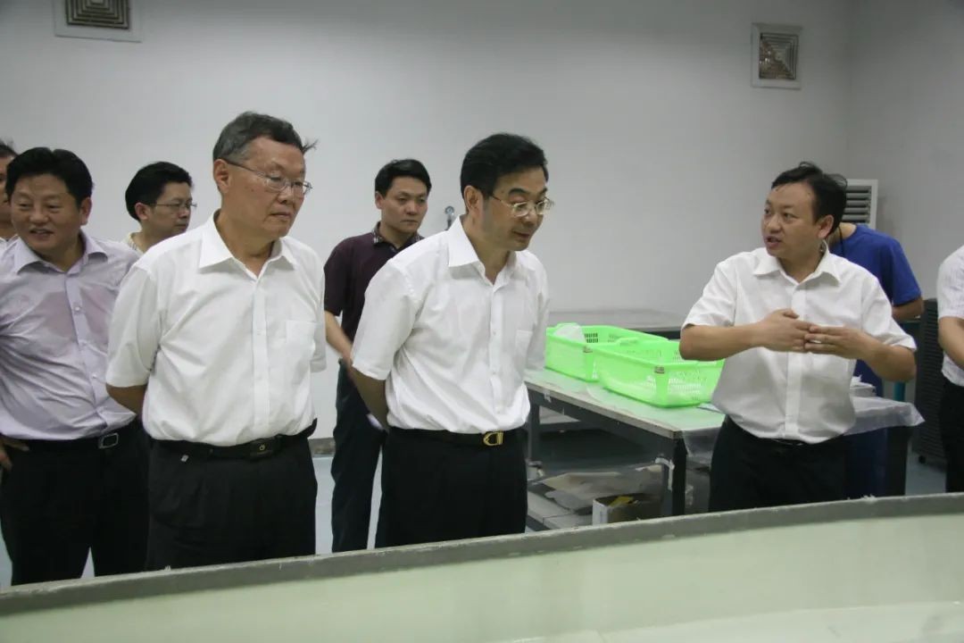 周强调研yp街机智能：增强知识产权；；； 效劳立异驱动生长