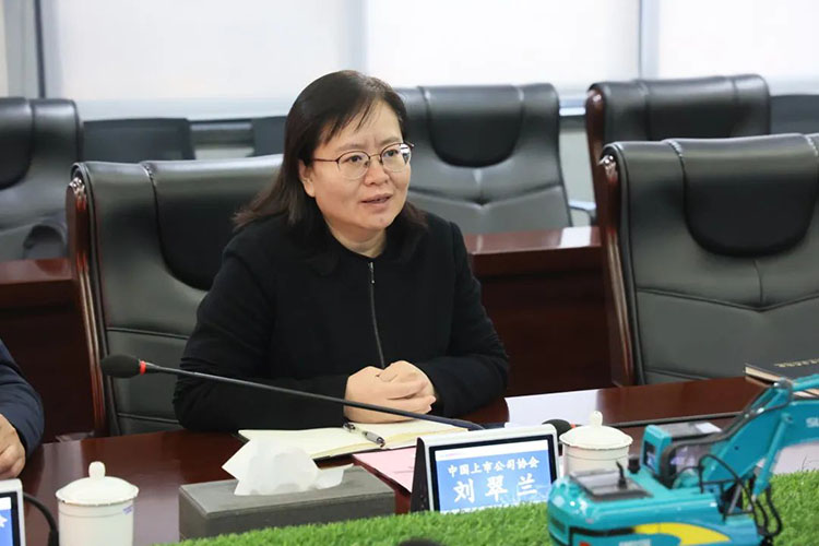 中国上市公司协会党委委员、副秘书长刘翠兰一行调研yp街机智能