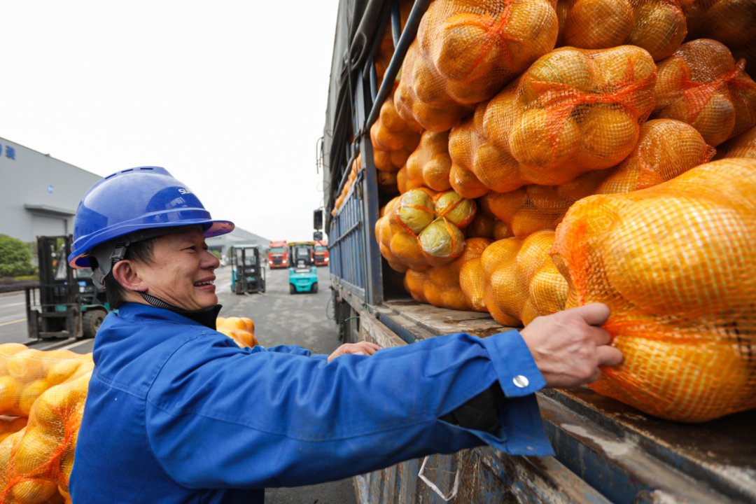 点赞！yp街机智能乐成入选“上市公司墟落振兴优异实践案例”