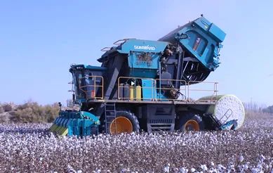 科技赋能农业强国建设！yp街机智能这小我私家工智能项目入选《湖南省“数字新基建”100个标记性项目名单》